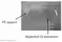 Fig. 01 - Novel Nanoporous Supported Lyotropic Liquid Crystal Polymer Membranes and Methods of Preparing and Using Same