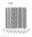Fig. 06 - Method of mass transfer, structured packing and mass transfer apparatus for a small liquid load