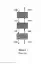 Fig. 03 - Slug suppressor apparatus and crude oil stabilization assembly and process therefor
