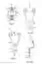 Fig. 27 - ADJUSTABLE HEIGHT TROLLEY ASSEMBLY