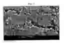 Fig. 08 - Surface conditioning composition, method for producing the same, and surface conditioning method