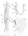 Fig. 04 - Shielded heat-dissipating lap cushion