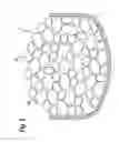 Fig. 03 - Method For Producing Silicon Single Crystal Ingot