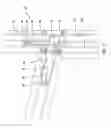 Fig. 03 - Sliding animal enclosure latch