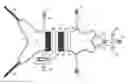 Fig. 01 - Animal Harness
