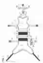Fig. 02 - Animal Harness