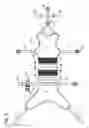 Fig. 03 - Animal Harness