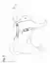 Fig. 05 - Animal Harness