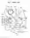Fig. 08 - Engine with chain tensioner