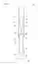 Fig. 07 - Stick