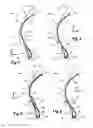 Fig. 02 - SELF-SEALING VALVE
