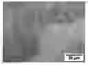 Fig. 01 - Preparation method of nanocrystalline titanium alloy at low strain