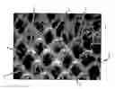 Fig. 01 - High solids fabric crepe process for producing absorbent sheet with in-fabric drying