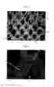 Fig. 02 - High solids fabric crepe process for producing absorbent sheet with in-fabric drying