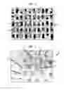 Fig. 03 - High solids fabric crepe process for producing absorbent sheet with in-fabric drying