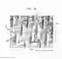 Fig. 16 - Method of making a fabric-creped absorbent cellulosic sheet with improved dispensing characteristics