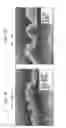 Fig. 22 - Method of making a fabric-creped absorbent cellulosic sheet with improved dispensing characteristics