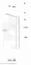 Fig. 04 - Air-cooled heat exchanger and electronic device with same