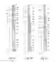 Fig. 04 - Downhole packer tool with antifracture means