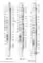 Fig. 02 - Downhole packer tool with dummy slips
