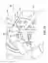 Fig. 25 - Motorized beach cart