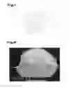 Fig. 02 - Method for producing a friction element