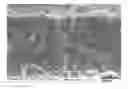 Fig. 01 - Method for producing coatings with a single composite target