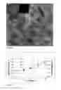 Fig. 08 - Method for producing coatings with a single composite target