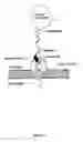 Fig. 08 - Nanopore-based single molecule characterization
