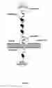 Fig. 10 - Nanopore-based single molecule characterization