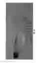 Fig. 16 - NON-CRYOGENIC STORAGE CELL FOR HYPERPOLARIZED 129XE