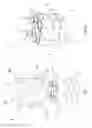 Fig. 06 - Packing Band and Packaging for Bottles and the Like, and Process for Manufacturing Thereof