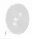Fig. 14 - Film for wrapping, methods of making and using