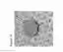 Fig. 19 - Film for wrapping, methods of making and using