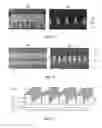 Fig. 05 - Method for manufacturing a wire grid polarizer