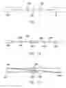 Fig. 09 - Enclosure for controlling the environment of optical crystals