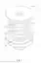 Fig. 07 - PUMP STRUCTURE FOR DISPENSER