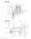 Fig. 09 - Fastening Tool for Adjusting a Driving Depth of a Fastener