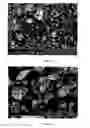 Fig. 31 - METHOD FOR THE PRODUCTION OF COMMERCIAL NANOPARTICLE AND MICRO PARTICLE POWDERS