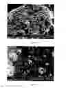 Fig. 32 - METHOD FOR THE PRODUCTION OF COMMERCIAL NANOPARTICLE AND MICRO PARTICLE POWDERS