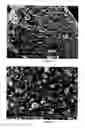 Fig. 33 - METHOD FOR THE PRODUCTION OF COMMERCIAL NANOPARTICLE AND MICRO PARTICLE POWDERS