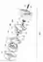 Fig. 10 - Apparatus for adjusting the payout of tether from a reel assembly