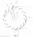 Fig. 09 - Magnus and transverse flow hybrid rotor