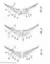 Fig. 09 - Mid-wing airplane