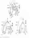 Fig. 10 - Mid-wing airplane