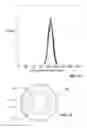 Fig. 08 - High aspect ratio scintillator detector for neutron detection
