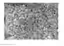 Fig. 01 - Scintillator material