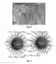 Fig. 03 - Scintillator material