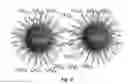 Fig. 04 - Neutron detector