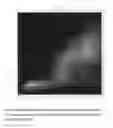 Fig. 03 - Method of classifying microorganisms using UV irradiation and excitation fluorescence